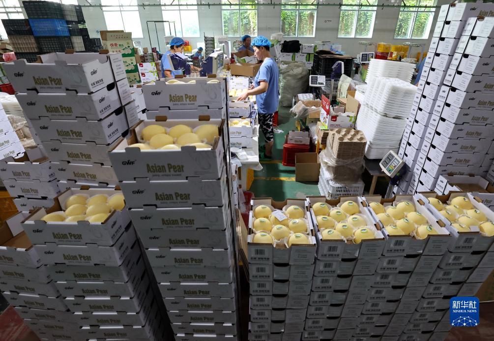 十大老品牌网赌